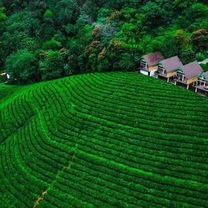 https://zero-degree-jungle-resort-viripara.kerala-hotels.net